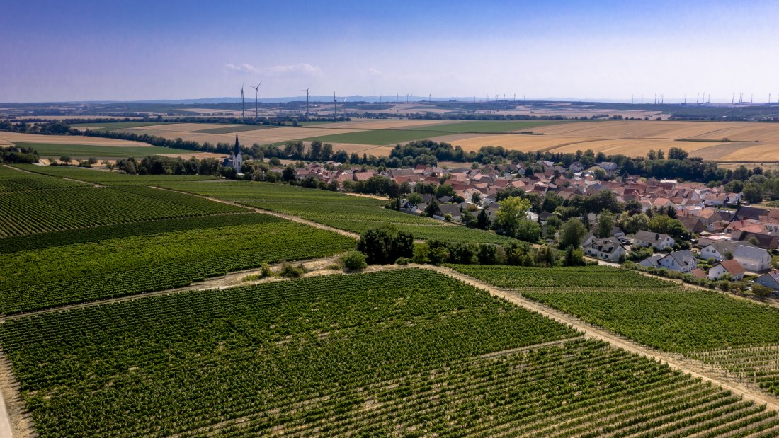 Gabsheimer Rosengarten Gabsheimer Rosengarten