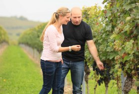 Weingut Klieber_Winzer © Weingut Klieber Weingut Klieber_Winzer © Weingut Klieber