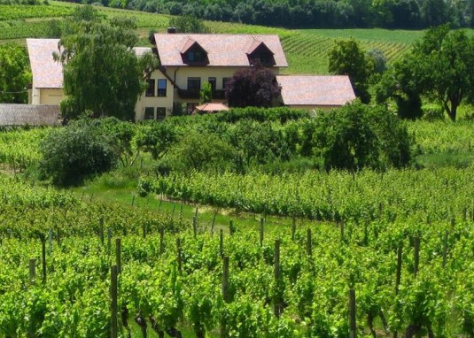 Weingut Rebenhof © Weingut Rebenhof Weingut Rebenhof © Weingut Rebenhof