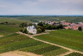 Udenheimer Kirchberg Udenheimer Kirchberg