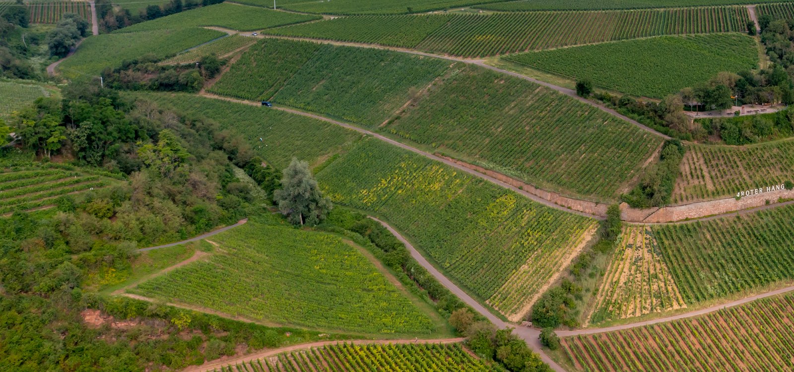Niersteiner Brudersberg Niersteiner Brudersberg
