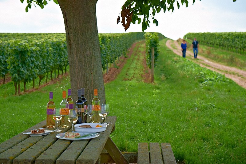 Weingut Schoeneck-Schnell_Gedeckter Tisch, © Weingut Schoeneck-Schnell Weingut Schoeneck-Schnell_Gedeckter Tisch, © Weingut Schoeneck-Schnell