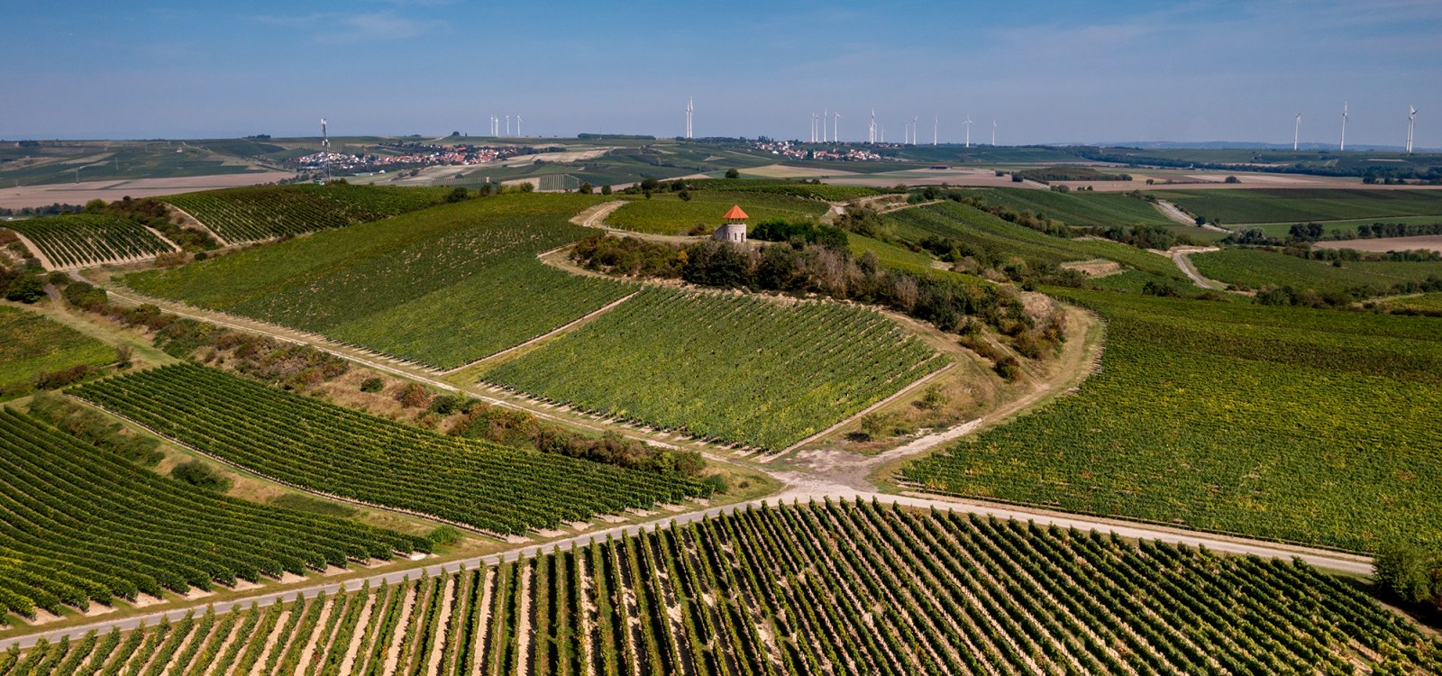 Albiger Hundskopf Albiger Hundskopf