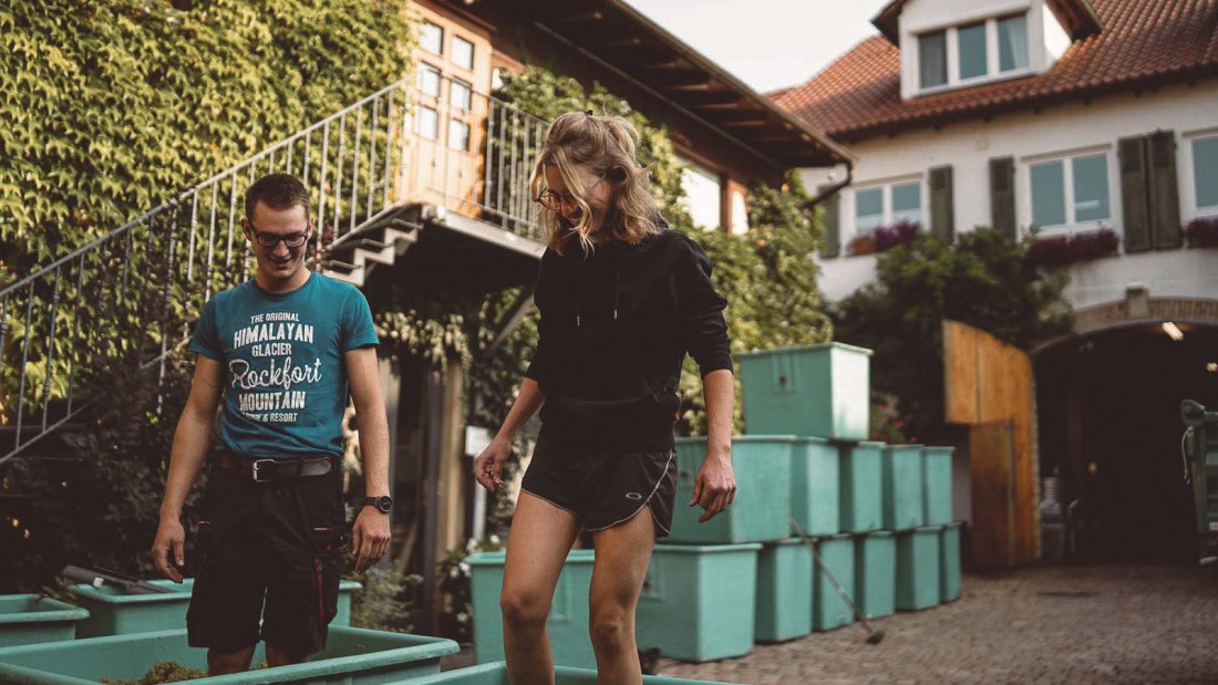 Weingut Singer-Fischer_Winzer, © Max Singer-Fischer Weingut Singer-Fischer_Winzer, © Max Singer-Fischer