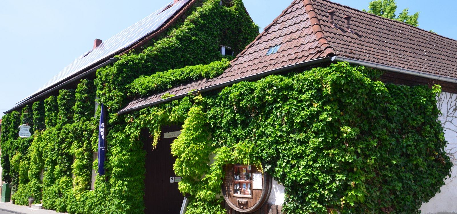 © Ökoweingut Arndt F. Werner © Ökoweingut Arndt F. Werner