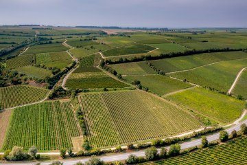 Guntersblumer Kreuzkapelle Guntersblumer Kreuzkapelle