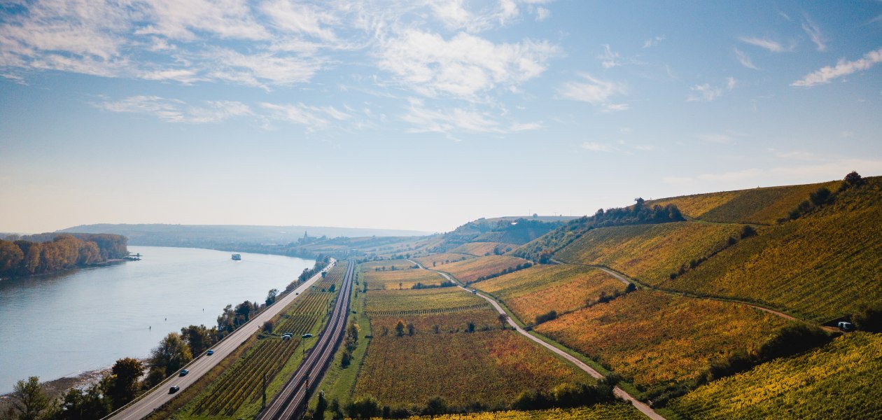 © Weingut Seebrich © Weingut Seebrich