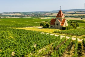 Die Kreuzkapelle von Gau-Bickelheim inmitten der Weinreben mit Blick vom Wißberg. © Dominik Ketz Die Kreuzkapelle von Gau-Bickelheim inmitten der Weinreben mit Blick vom Wißberg. © Dominik Ketz