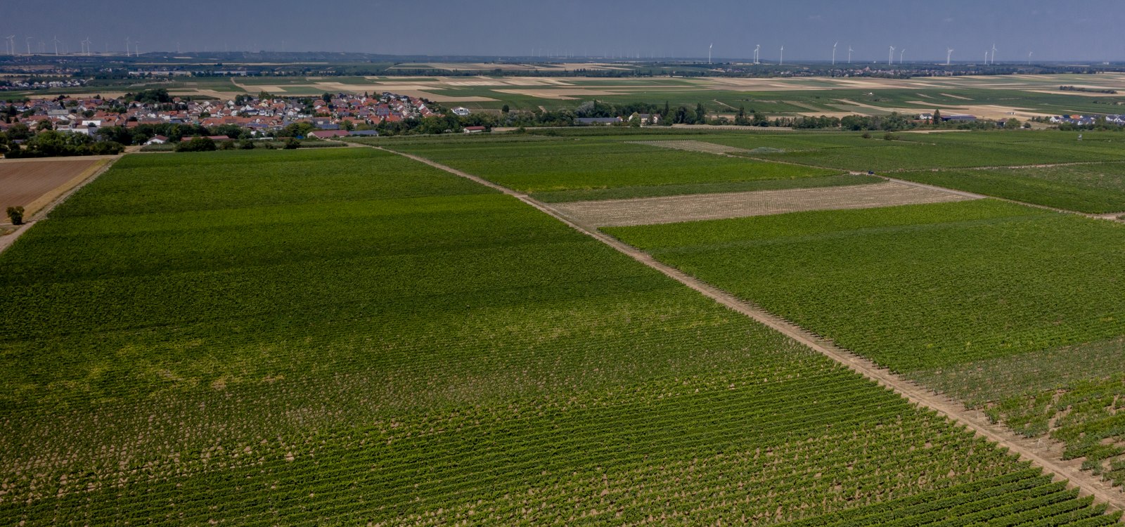 Offsteiner Engelsberg Offsteiner Engelsberg