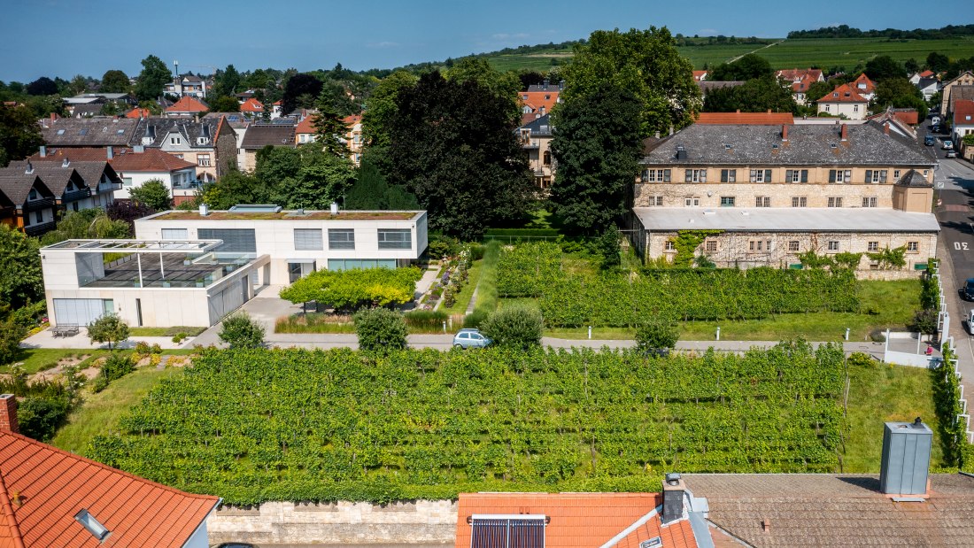 Ingelheimer Sonnenberg-DJI_0042.DNG, © Torsten Silz Ingelheimer Sonnenberg-DJI_0042.DNG, © Torsten Silz