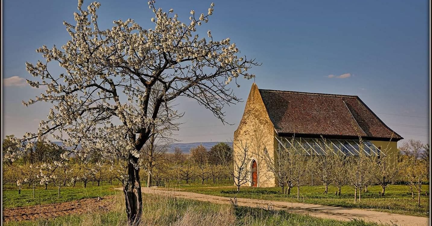 St. Georgskapelle, © Rainer Oppenheimer/Stadt Ingelheim St. Georgskapelle, © Rainer Oppenheimer/Stadt Ingelheim