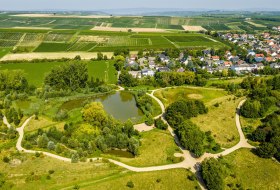 Mühlbachaue © Dominik Ketz - Rheinhessen Touristik GmbH Mühlbachaue © Dominik Ketz - Rheinhessen Touristik GmbH