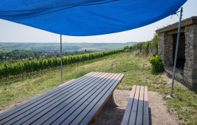 Tisch des Weins © Verbandsgemeinde Gau-Algesheim Tisch des Weins © Verbandsgemeinde Gau-Algesheim