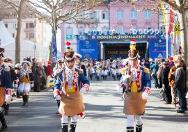 Parade der närischen Garden Parade der närischen Garden