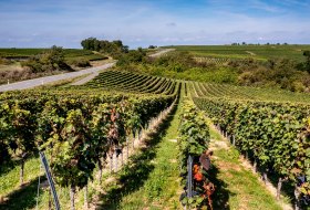 Heßlocher Liebfrauenberg Heßlocher Liebfrauenberg