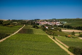 Engelstadter Adelpfad Engelstadter Adelpfad