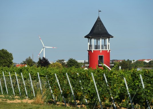 Weinbergsturm © Carsten Costard Weinbergsturm © Carsten Costard