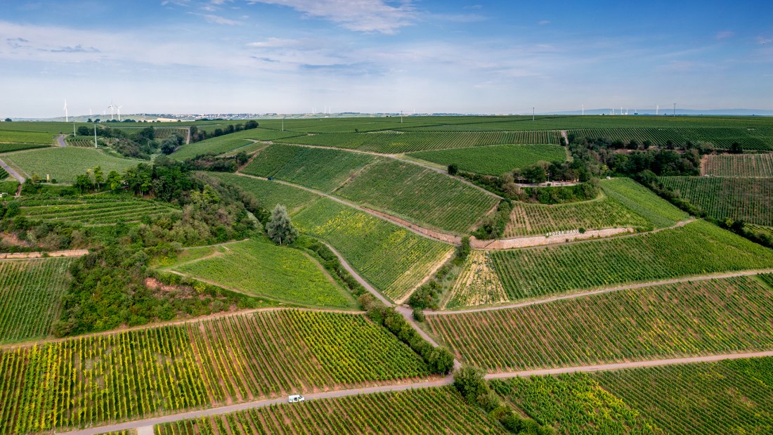 Niersteiner Brudersberg Niersteiner Brudersberg