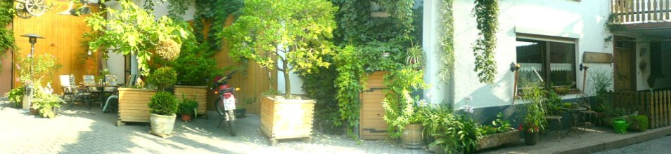 Winery Beyer-Bährhof, © Weingut Beyer-Bähr Winery Beyer-Bährhof, © Weingut Beyer-Bähr