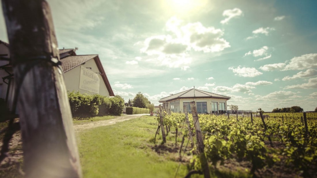 exterior-vinotheque-and-guesthouse, © Weingut Hagemann exterior-vinotheque-and-guesthouse, © Weingut Hagemann