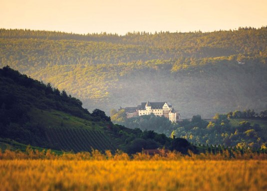 Die Ebernburg im Herbst © R. Jetter - soonteam Die Ebernburg im Herbst © R. Jetter - soonteam