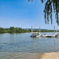 Rhine riverbank Heidenfahrt - View of the Rhine and Inselrhein Rhine riverbank Heidenfahrt - View of the Rhine and Inselrhein