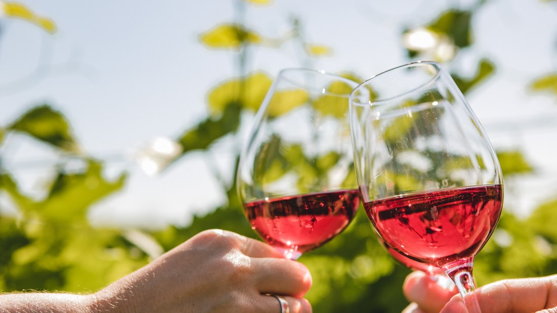 Weingut-Abthof-Juni-2021-DRUCK-117 Weingut-Abthof-Juni-2021-DRUCK-117