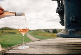 Weinglas im Weinberg Weinglas im Weinberg