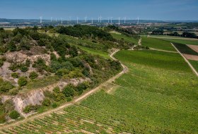 Siefersheimer Heerkretz Siefersheimer Heerkretz