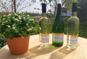 Weingut Klein_Weinflaschen © Weingut Klein Weingut Klein_Weinflaschen © Weingut Klein