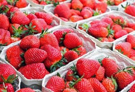 Erdbeeren Erdbeeren