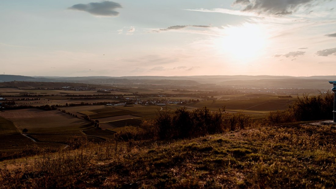 Andreas Brummund_Weinberge, © Andreas Brummund - die WeinWerkstatt Andreas Brummund_Weinberge, © Andreas Brummund - die WeinWerkstatt