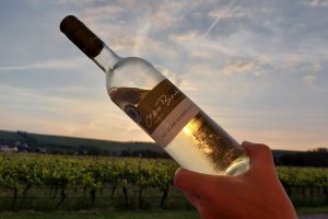 Weingut Otto Becker_bei Sonnenuntergang, © Weingut Otto Becker Weingut Otto Becker_bei Sonnenuntergang, © Weingut Otto Becker