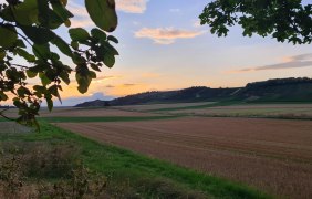 Sonnenuntergang am Wohnmobilstellplatz © Ortsgemeinde Wonsheim Sonnenuntergang am Wohnmobilstellplatz © Ortsgemeinde Wonsheim