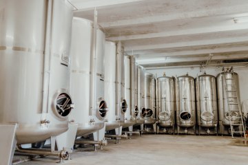 Weingut Kleemann_Keller, © Julia Hess Fotografie Weingut Kleemann_Keller, © Julia Hess Fotografie