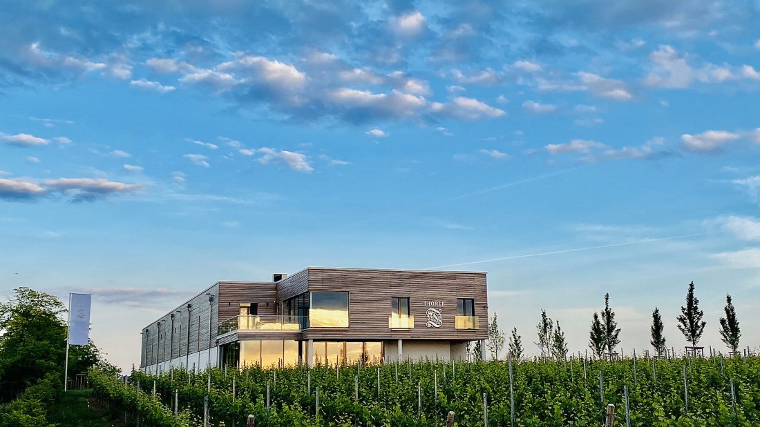 Weingut Thörle_Gebäude, © Weingut Thörle Weingut Thörle_Gebäude, © Weingut Thörle