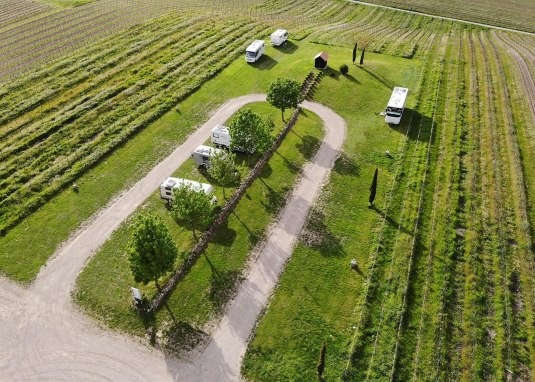Reisemobilstellplatz Weingut Gehring © Weingut Gehring Reisemobilstellplatz Weingut Gehring © Weingut Gehring