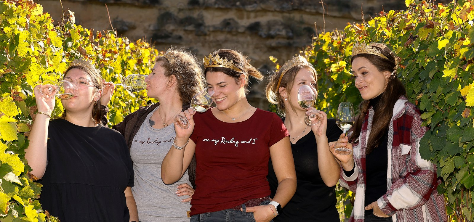 Majestätenweinberg_Lese_Gruppenbild, © Torsten Zimmermann Majestätenweinberg_Lese_Gruppenbild, © Torsten Zimmermann