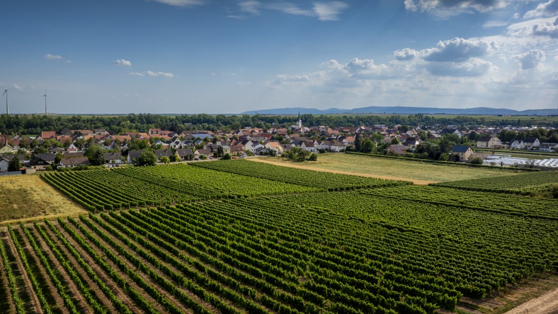 Heppenheimer Schneckenberg, © Torsten Silz Heppenheimer Schneckenberg, © Torsten Silz