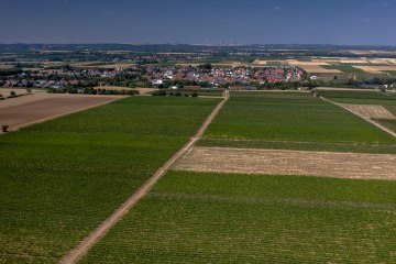 Offsteiner Engelsberg Offsteiner Engelsberg