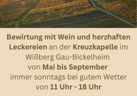 Flyer Wandersommer S.1 Flyer Wandersommer S.1