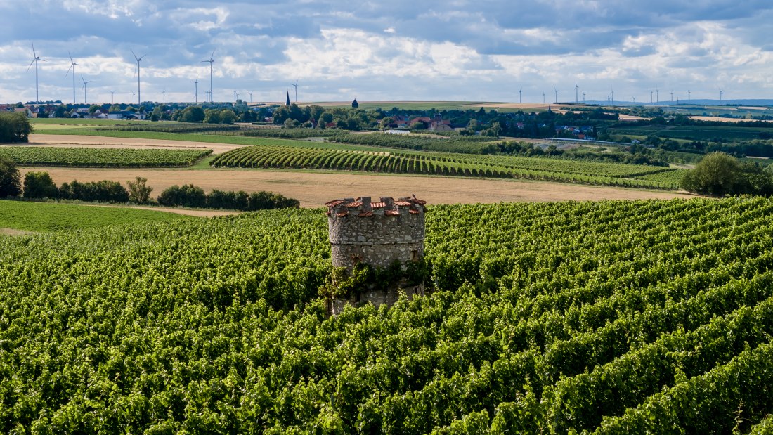 Ober-Flörsheimer Blücherpfad Ober-Flörsheimer Blücherpfad
