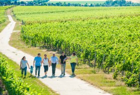 Weingut Hammen_Familie © Weingut Hammen Weingut Hammen_Familie © Weingut Hammen