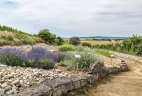 Ein Spaziergang durch die Urzeit der Geologie – der Strandpfad der Sinne (c)http://achimmeurer.com © http://achimmeurer.com Ein Spaziergang durch die Urzeit der Geologie – der Strandpfad der Sinne (c)http://achimmeurer.com © http://achimmeurer.com
