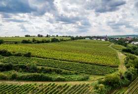 Bechtheimer Stein Bechtheimer Stein