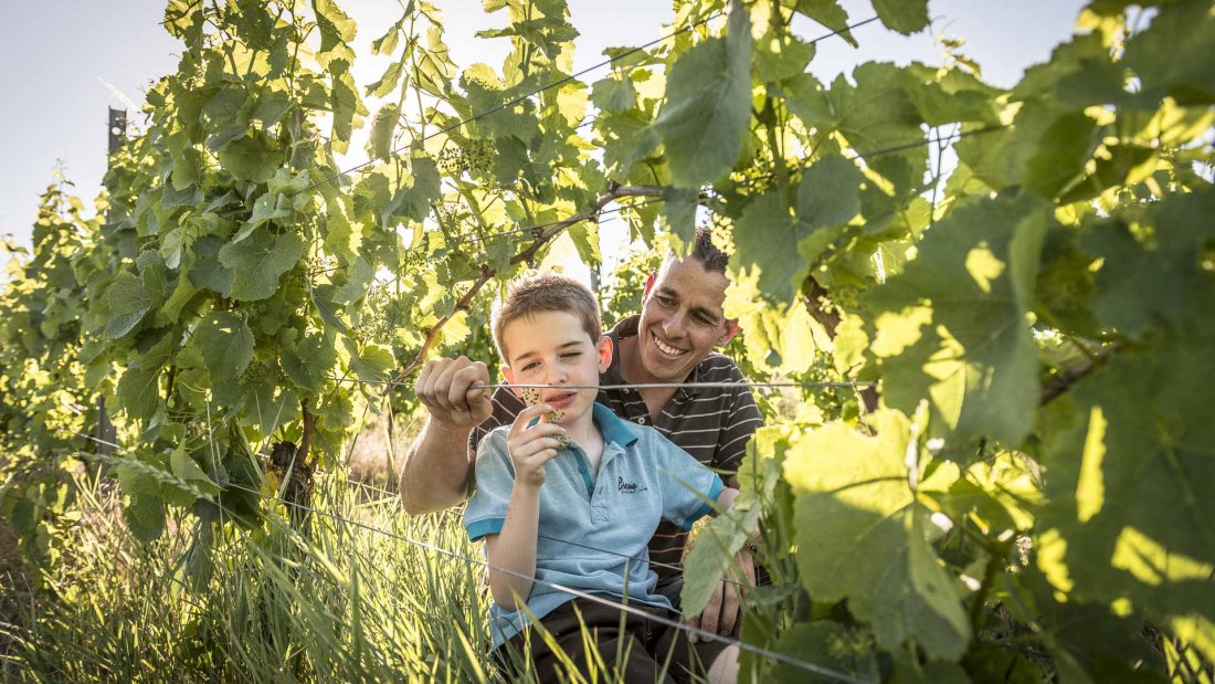 Weingut Grosch_Winzer 2, © Weingut Grosch Weingut Grosch_Winzer 2, © Weingut Grosch