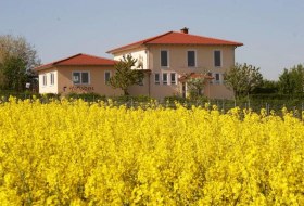 Weingut Holz-Liebrich © Weingut Holz-Liebrich Weingut Holz-Liebrich © Weingut Holz-Liebrich