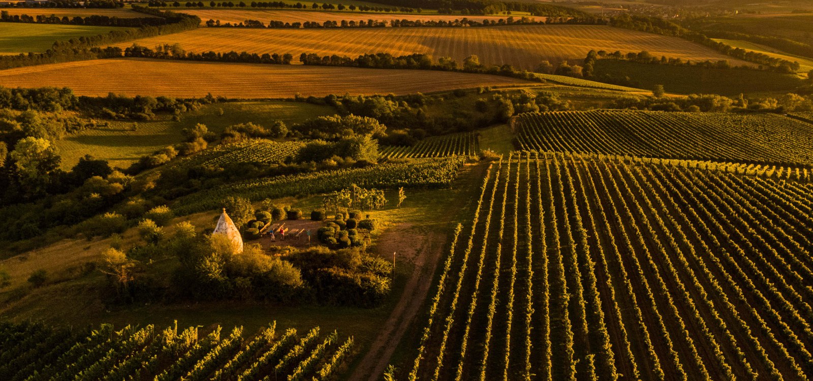 Rheinhessen im Abendlicht, © Dominik Ketz Rheinhessen im Abendlicht, © Dominik Ketz