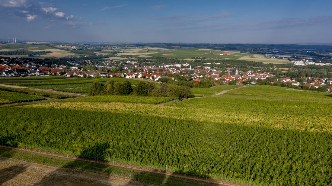 Nieder-Olmer Klosterberg Nieder-Olmer Klosterberg