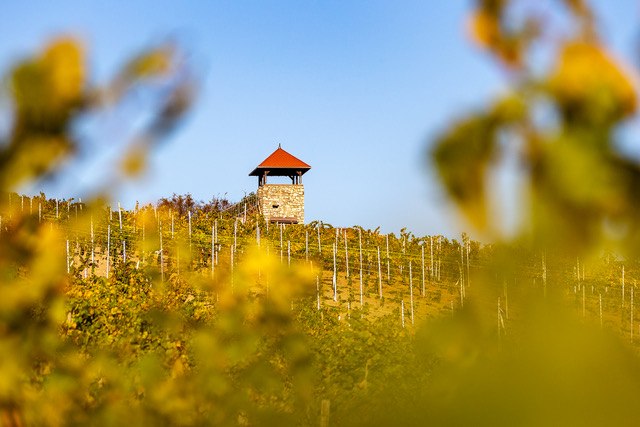 © Weingut Eckert © Weingut Eckert